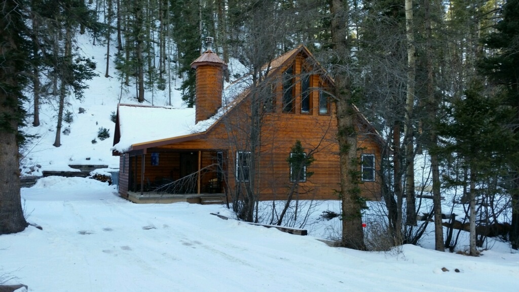 Creekside Cabin 1