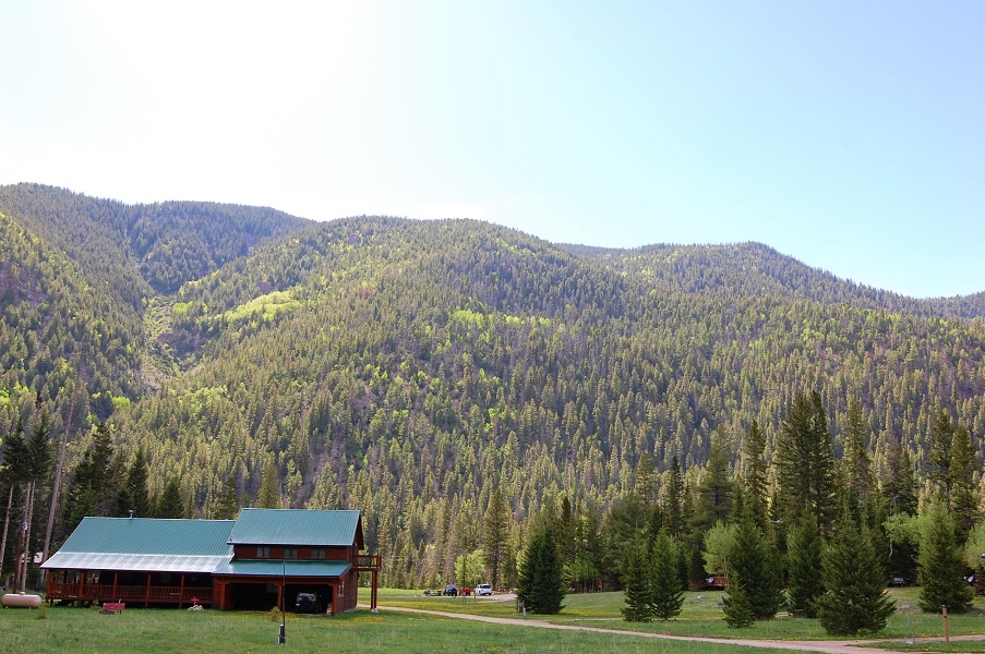 View