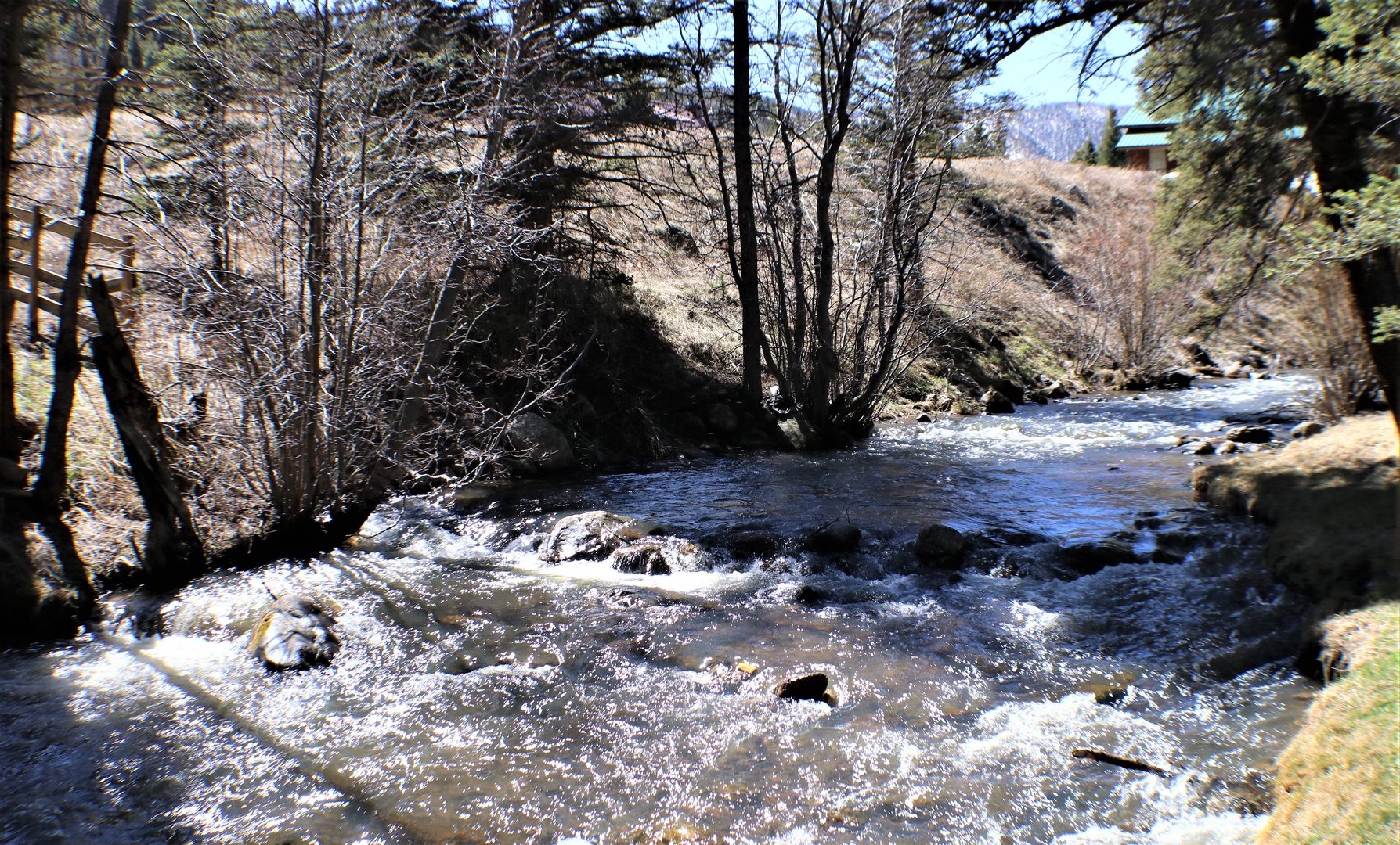 IMG_1004 (2)