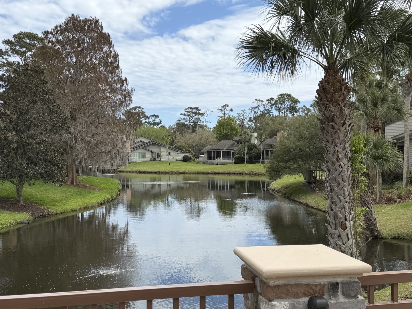 Peaceful waterway winds through the residential neighborhood, framed by mature palm trees and lush landscaping.