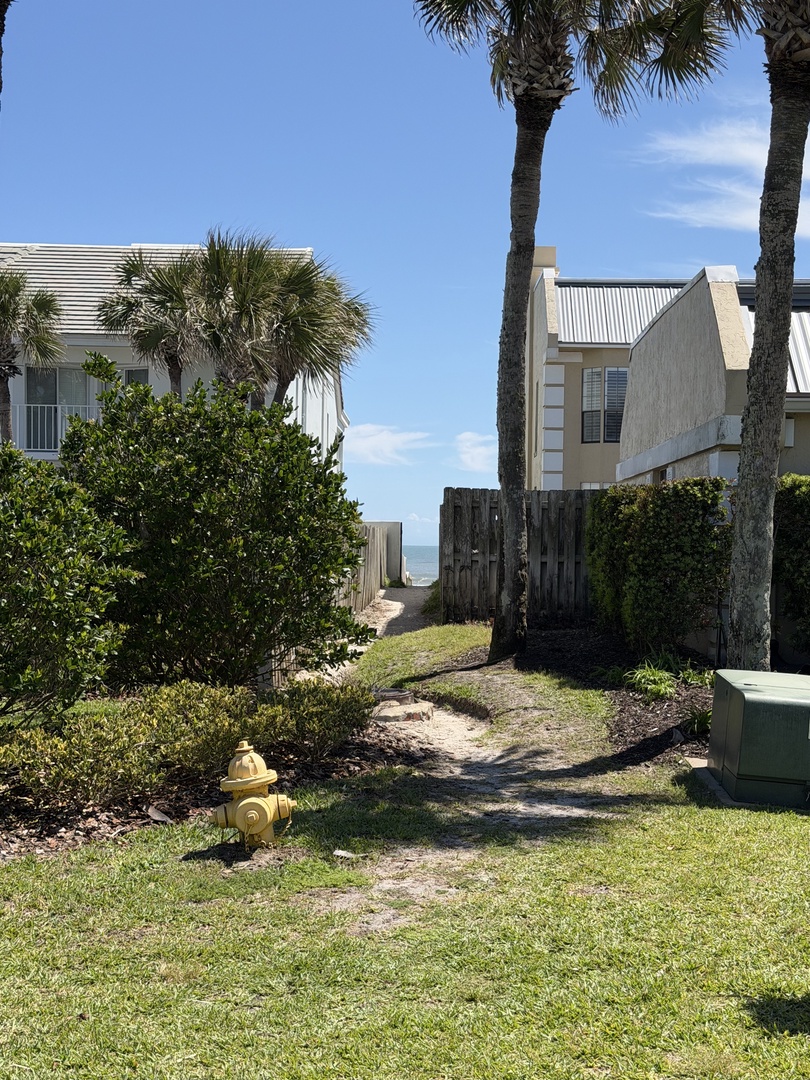 A sandy path leads through towering palms and lush greenery, offering direct beach access just steps from the property—perfect for spontaneous ocean dips and sunset strolls.