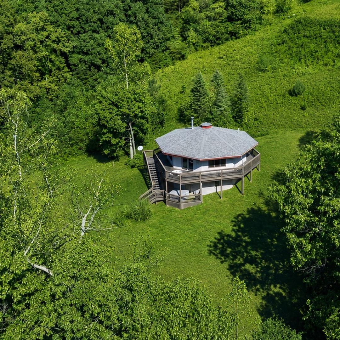 Tree Top Summer Aerial