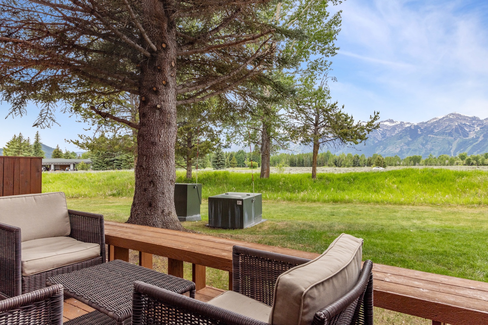 Patio Views