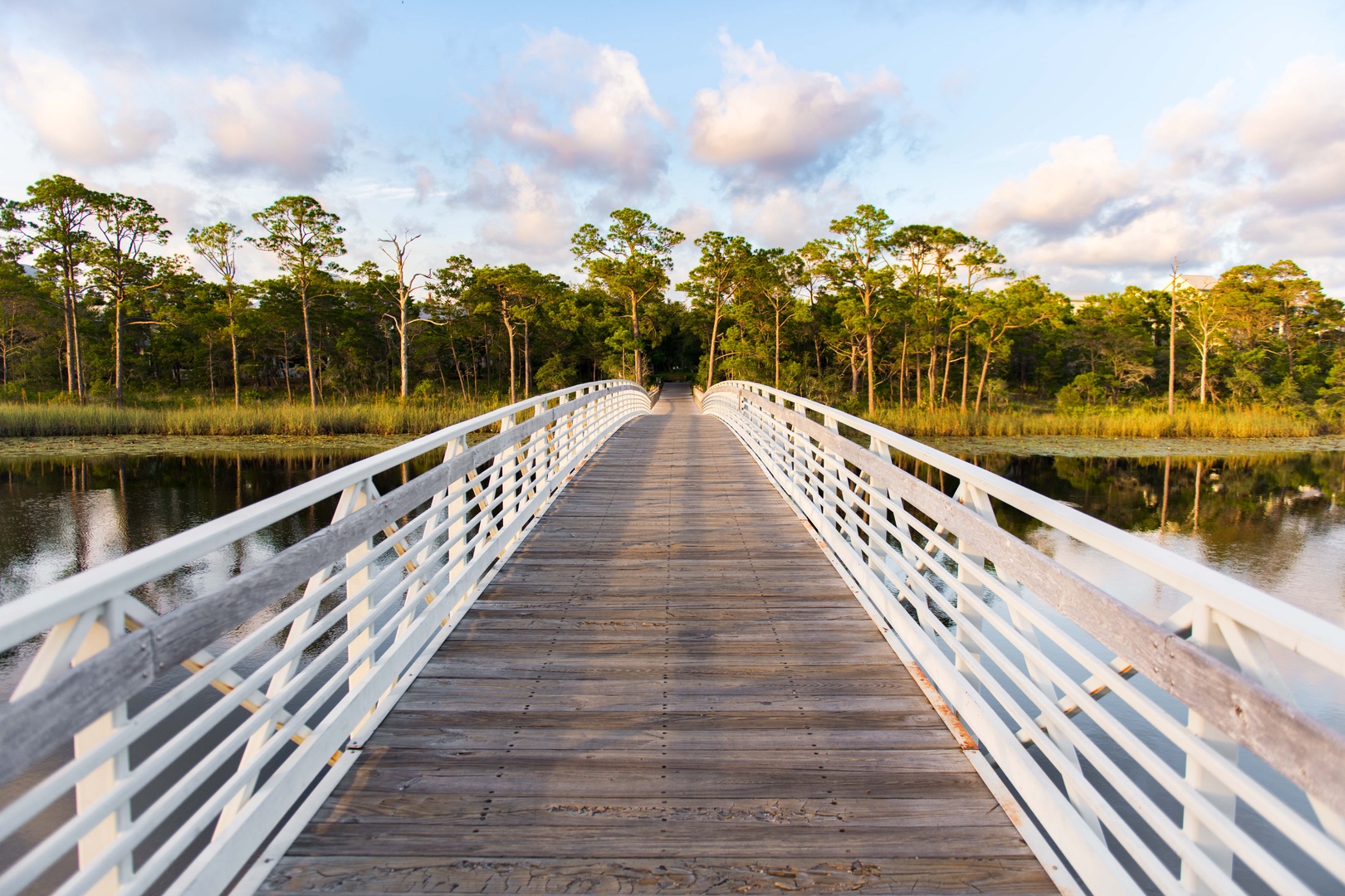 WaterColor Bridge