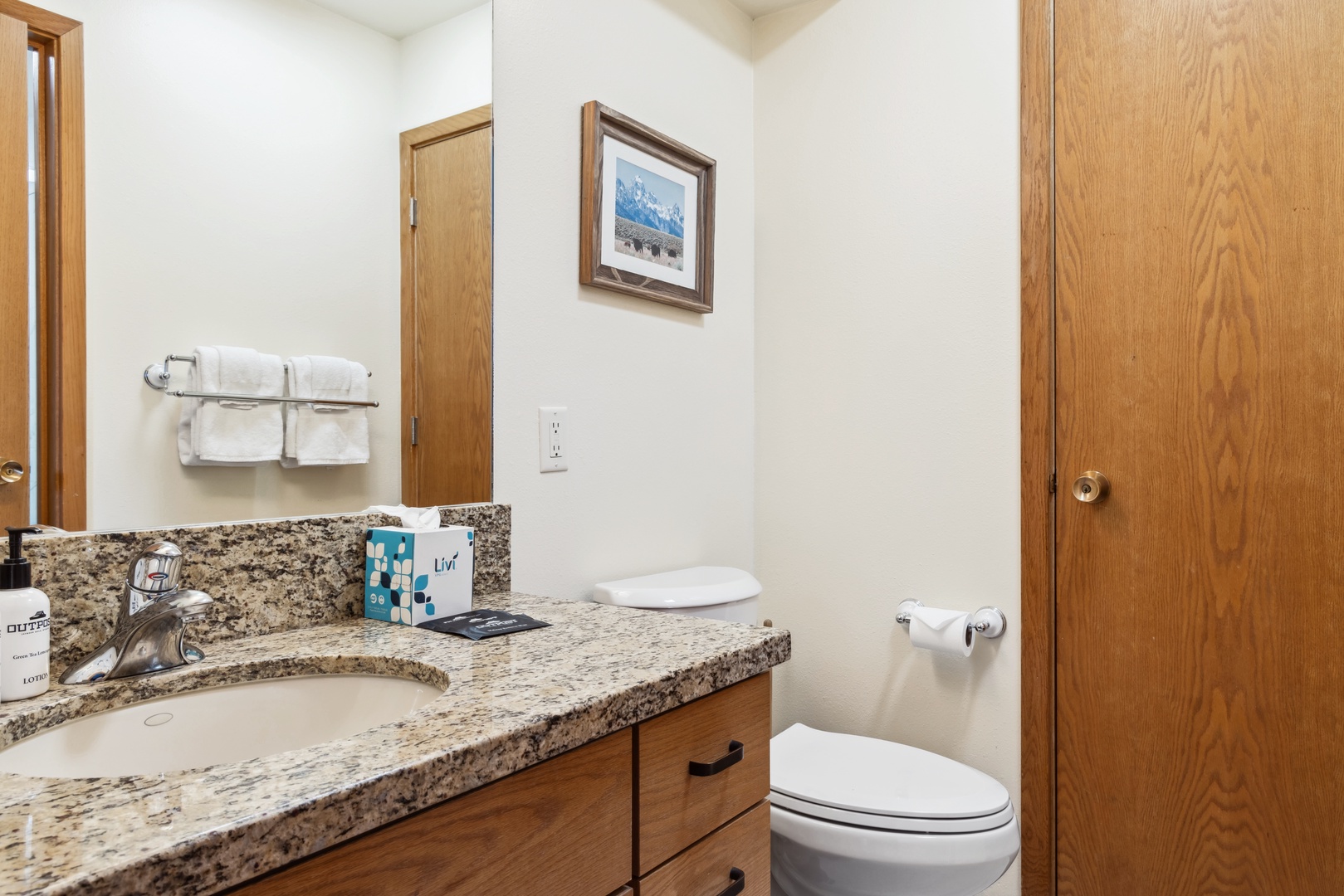 Downstairs Guest Bathroom