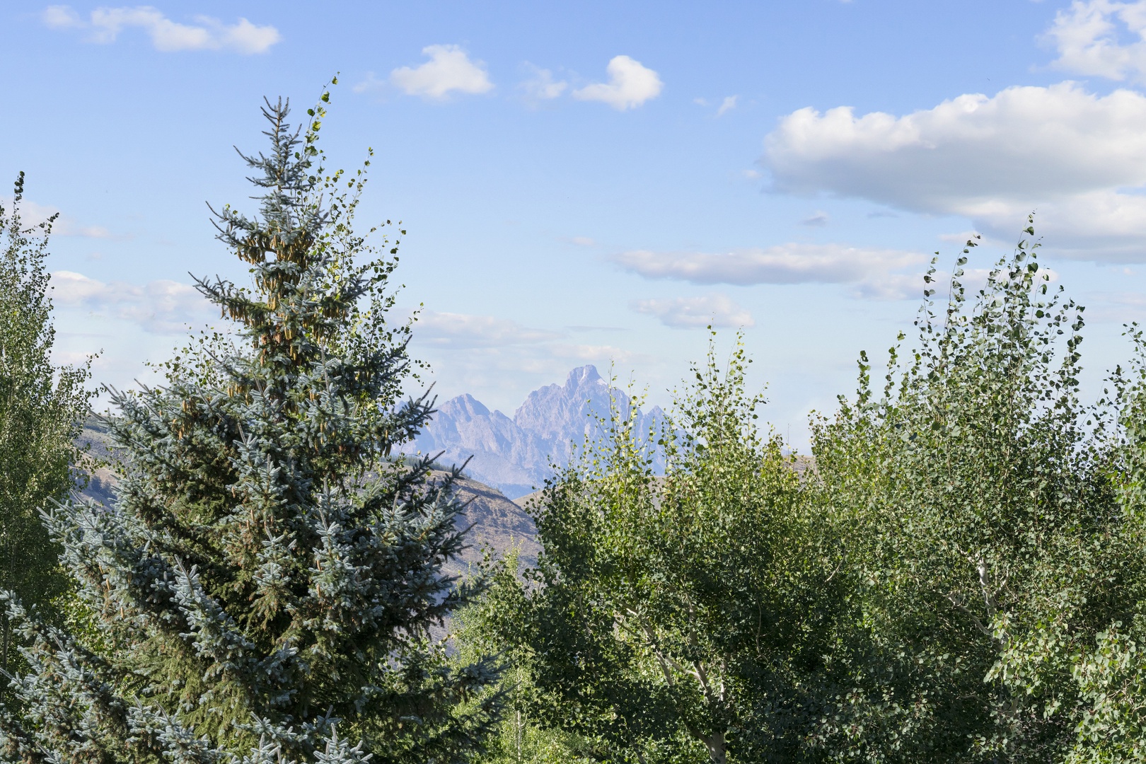 Teton Views