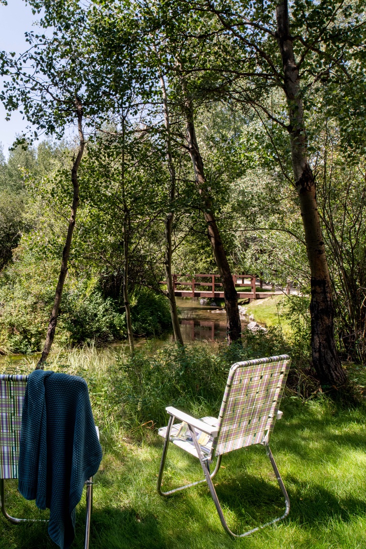 Back garden area with trees and a small stream