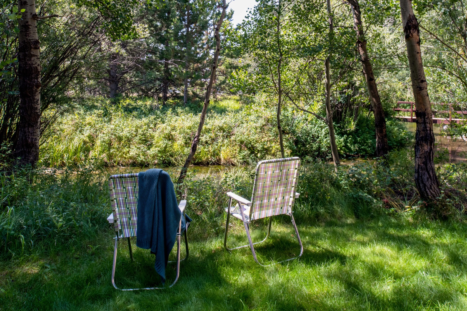 Back garden area with trees and a small stream