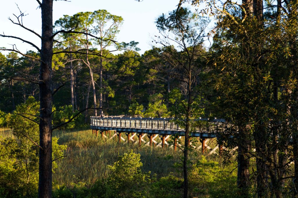 WaterColor Bridge