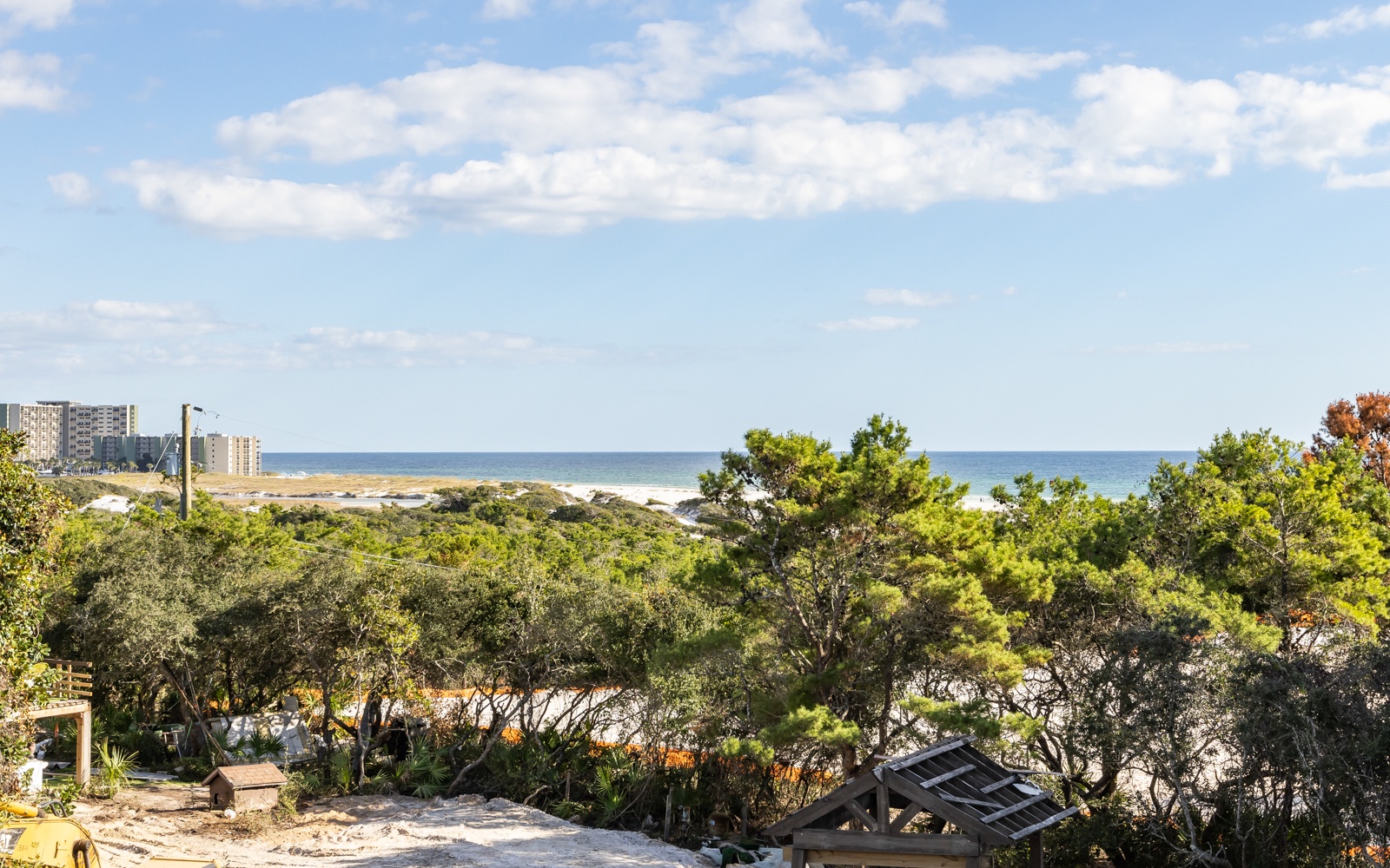 Coastal view showcasing pristine beaches and ocean waters through lush treetops, with nearby beachfront buildings visible in the distance.