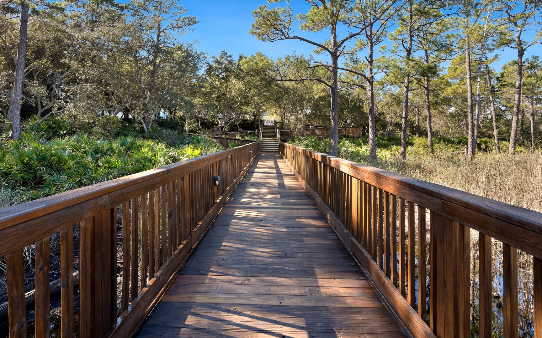 Wooden boardwalk winds through natural wetlands and forest, providing scenic access to the surrounding area.
