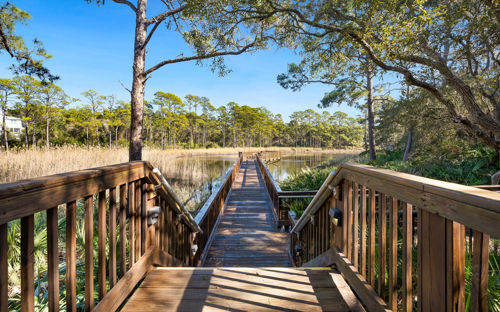 Wooden boardwalk winds through peaceful wetlands toward pristine lake, surrounded by towering trees and natural marshlands.