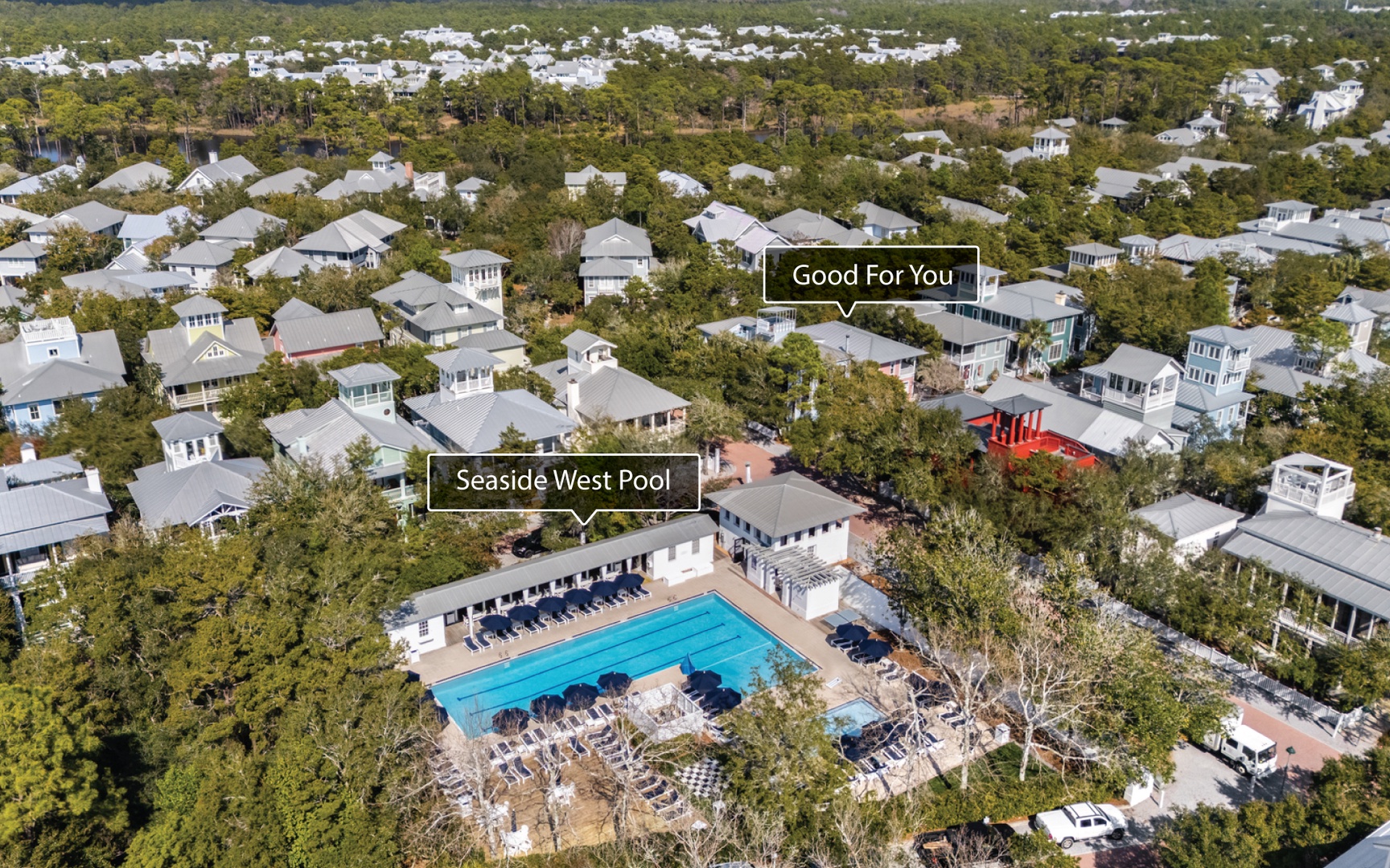 Aerial view of the Seaside community showcasing the resort-style pool complex surrounded by charming neighborhood homes.