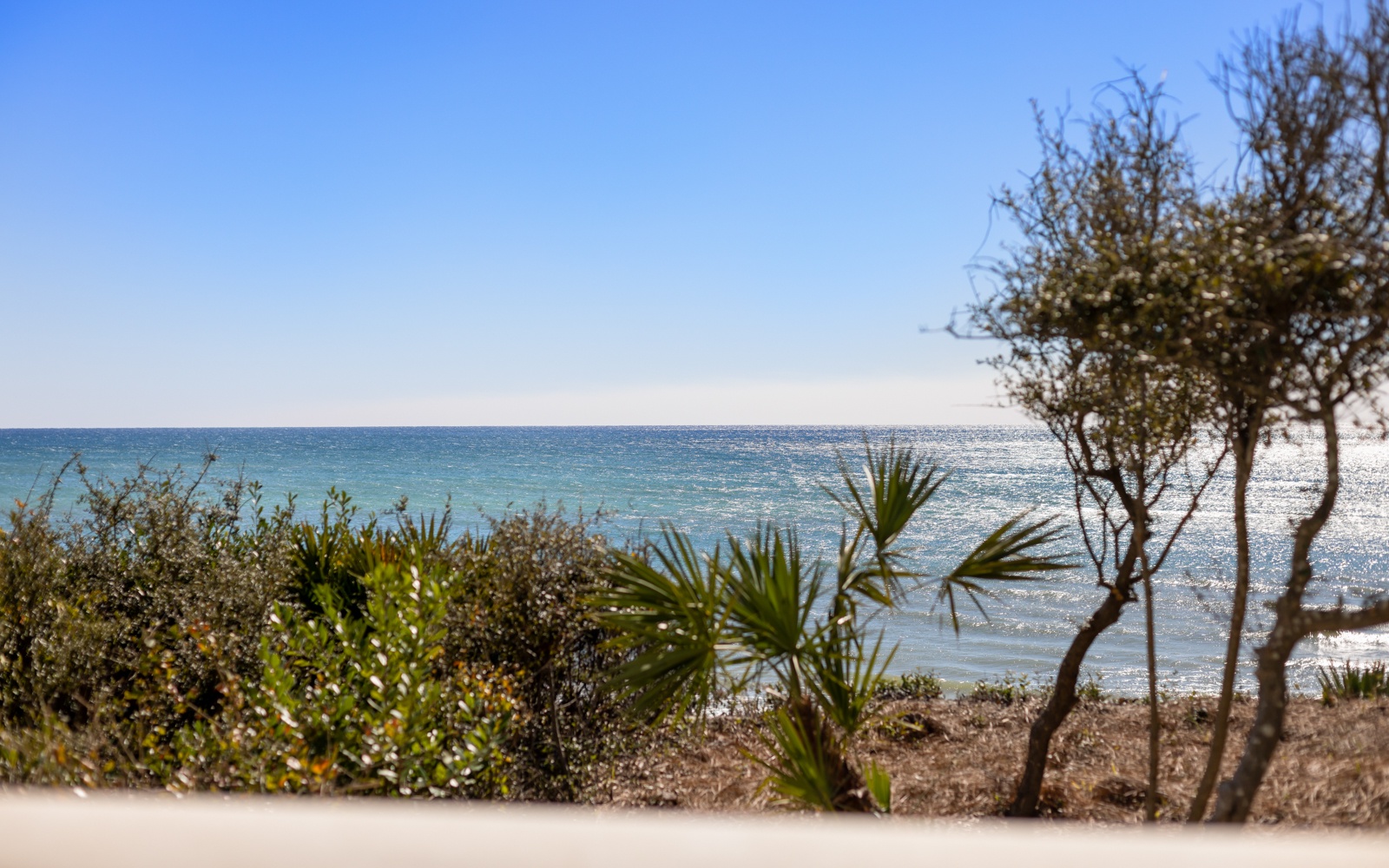 Stunning coastal view with pristine waters and tropical vegetation creating a peaceful seaside escape.