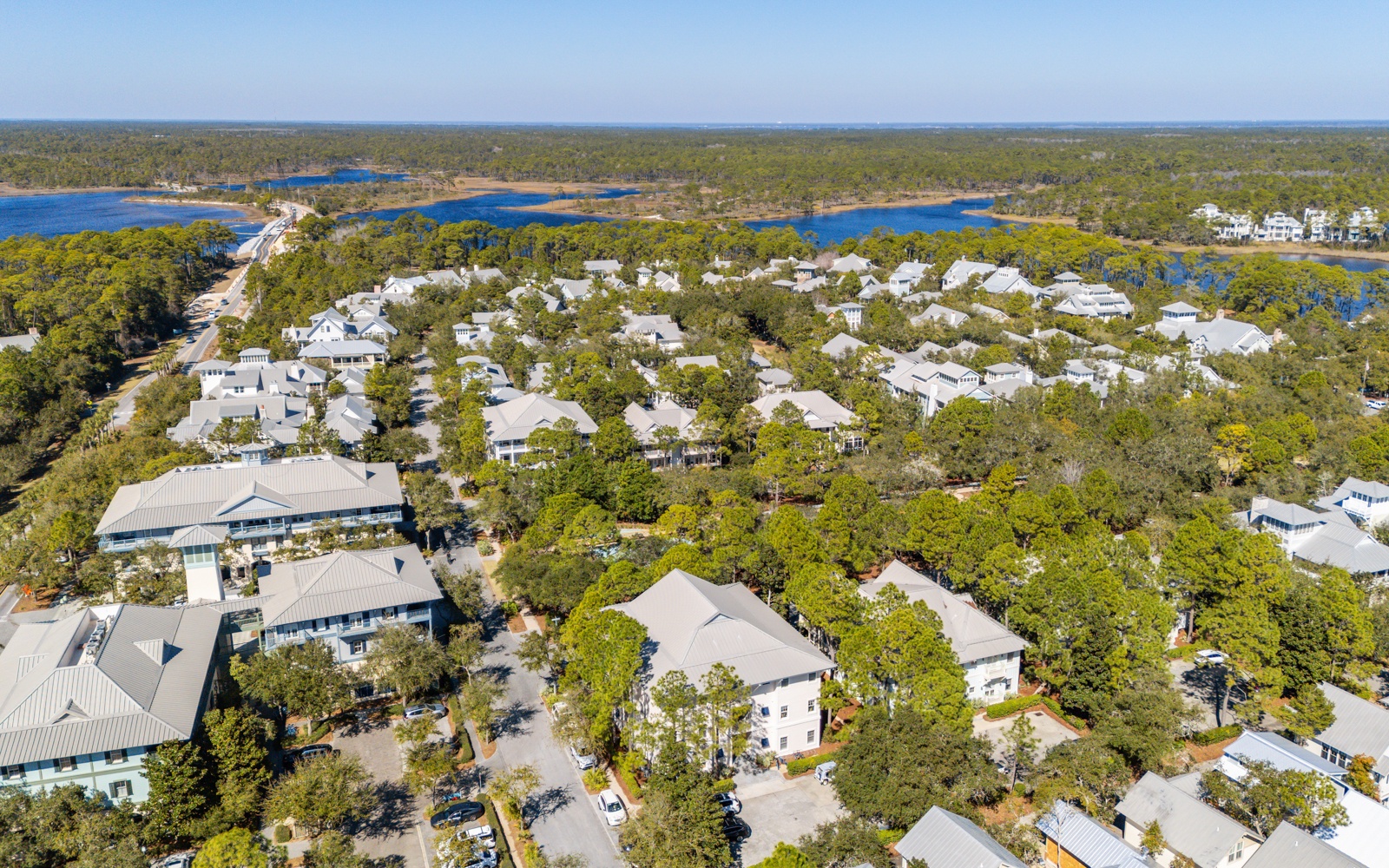 Aerial view of a coastal community with lush green canopy, pristine blue waters, and charming residential buildings nestled among towering trees.