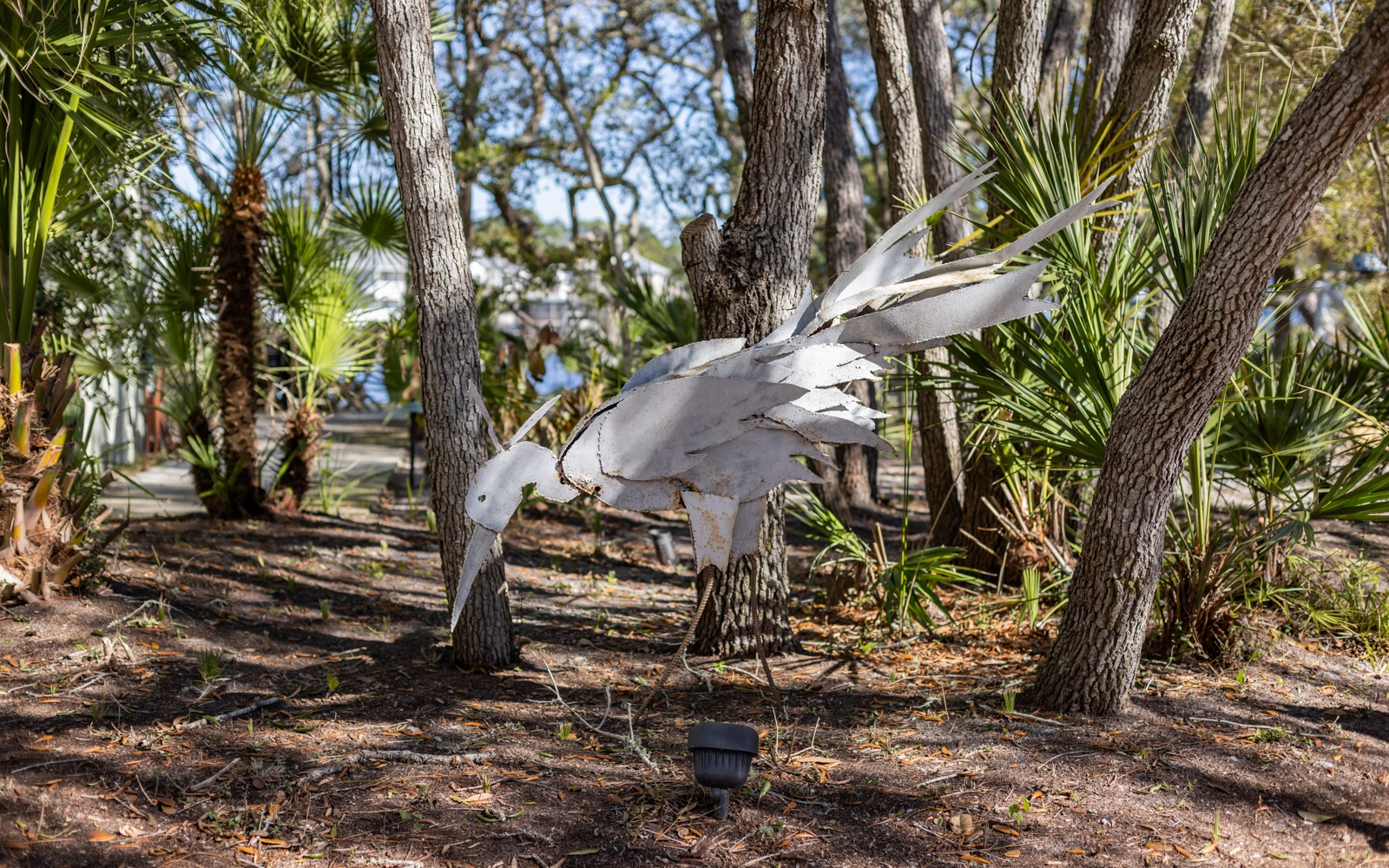 A beautiful white bird explores the property's natural landscape with tropical palms and mature trees creating peaceful outdoor surroundings.