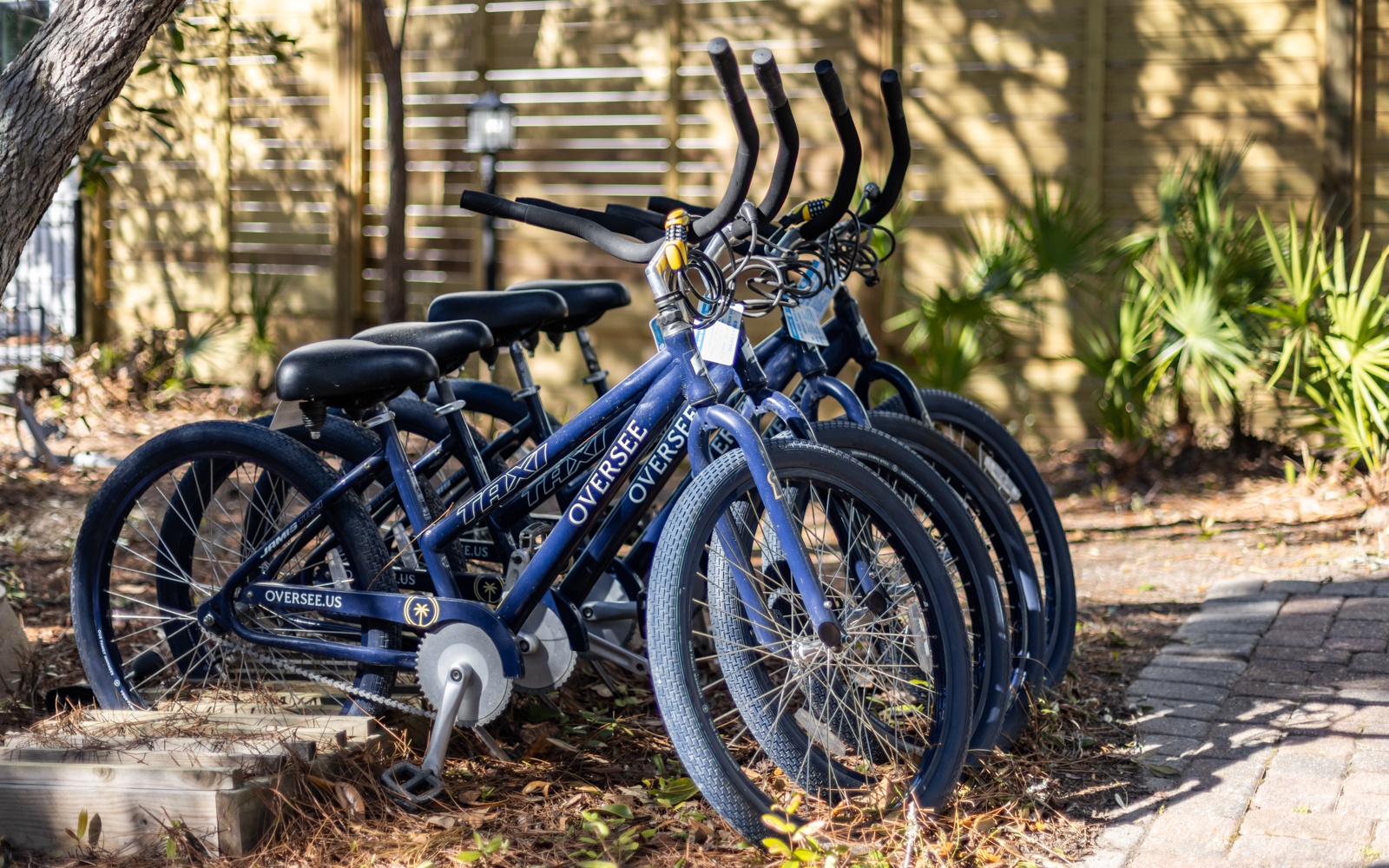 Your adventure awaits with complimentary bikes ready to explore the scenic neighborhood at your own pace.
