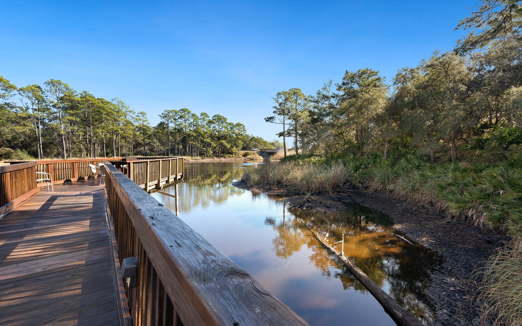 Peaceful wooden boardwalk stretches over calm waters, surrounded by lush coastal vegetation and clear blue skies.