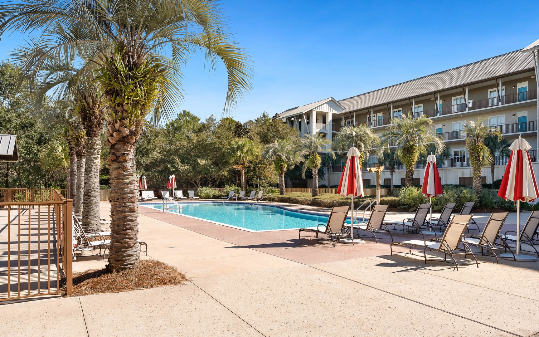 Sparkling pool surrounded by swaying palm trees and comfortable loungers under vibrant red umbrellas—your perfect spot to unwind.