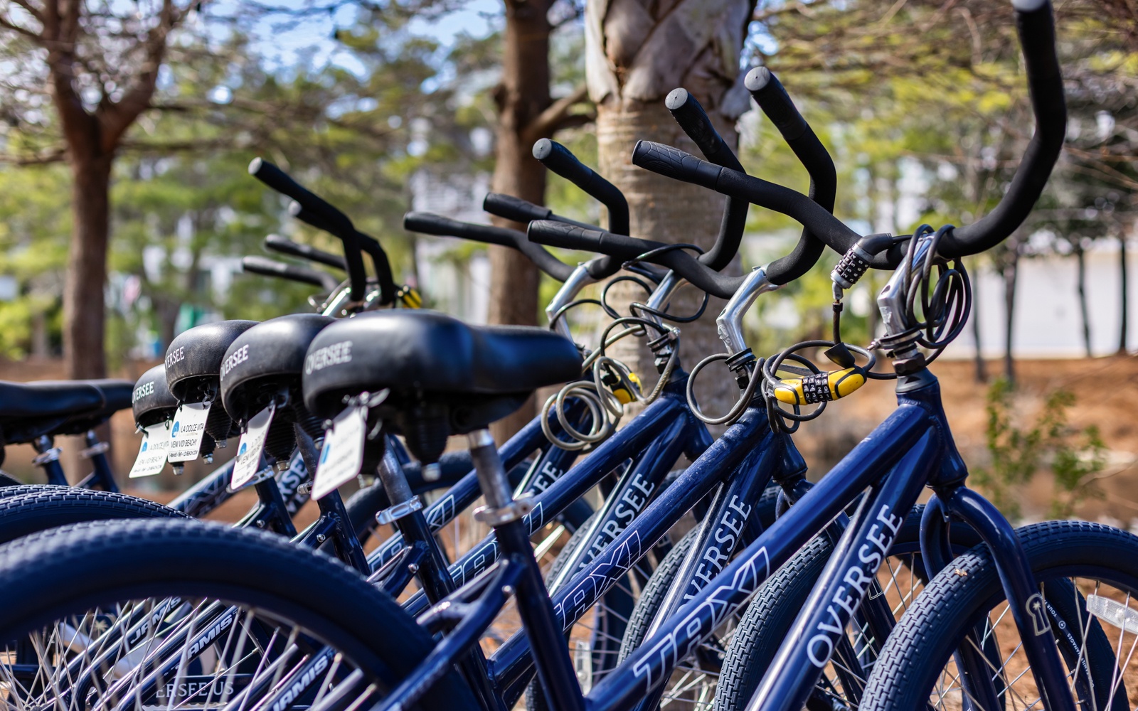 Grab a bike and explore the charming neighborhood at your own pace, with convenient rental bikes ready for your adventure.