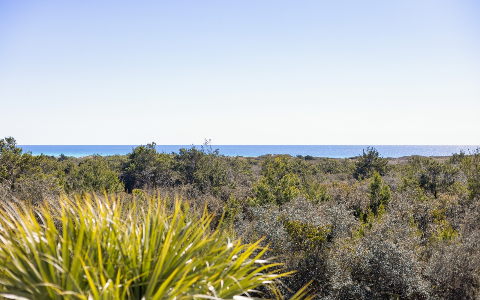 Coastal landscape with native vegetation stretching toward distant ocean views in the background.