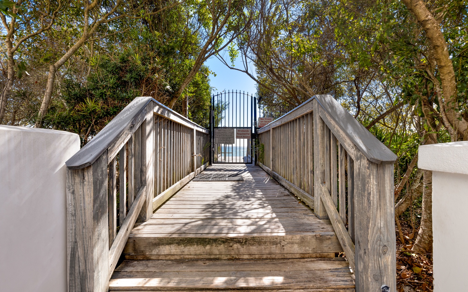 A wooden boardwalk winds through lush tropical vegetation, connecting different areas of the property.