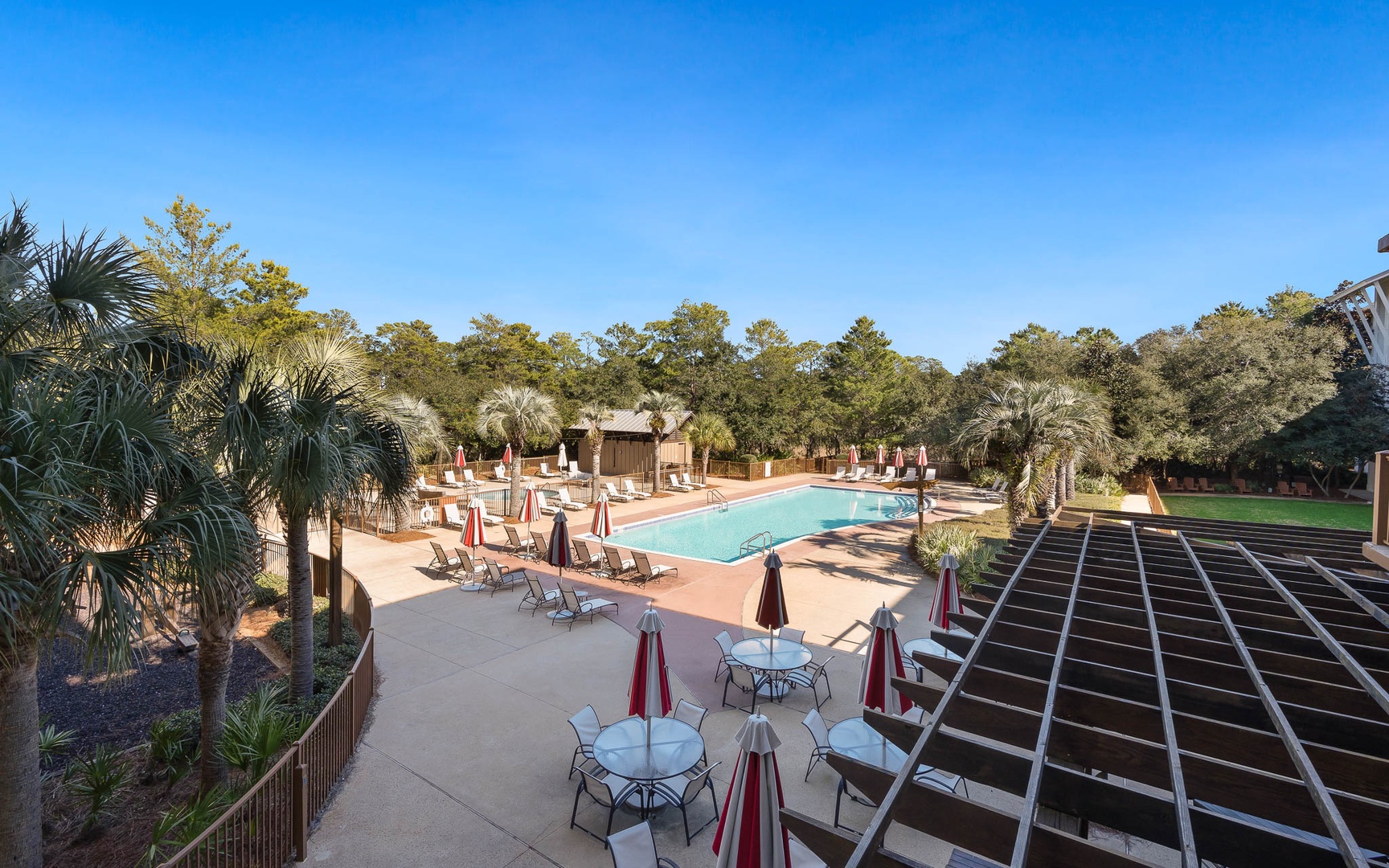 Tropical resort pool area surrounded by lush palm trees and natural landscaping creates a serene outdoor retreat.