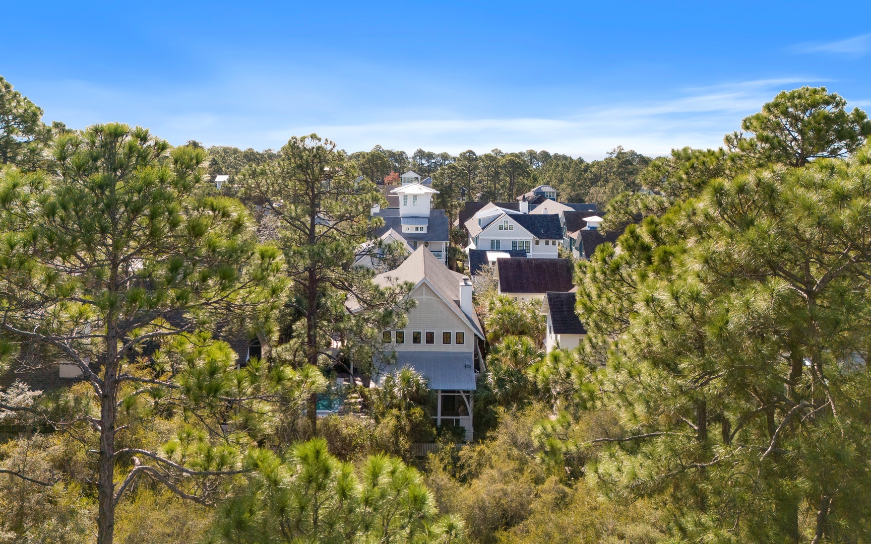 Elevated aerial view reveals a peaceful residential neighborhood nestled among mature pine trees under bright blue skies.