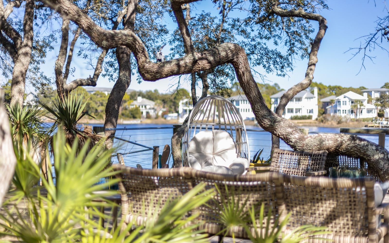 Waterfront seating area surrounded by mature trees and tropical plants, offering views of the peaceful water and nearby residential buildings.