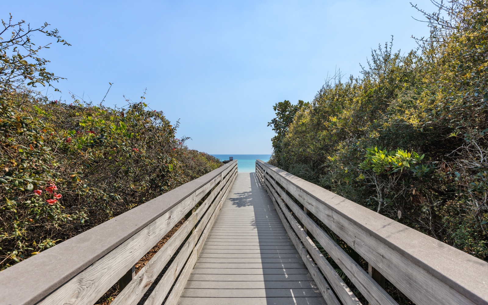 Wooden boardwalk leads through coastal vegetation to pristine waters beyond.