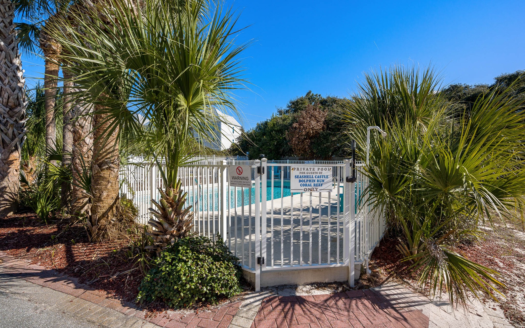 Private pool area surrounded by lush tropical palms and landscaping under clear blue skies.