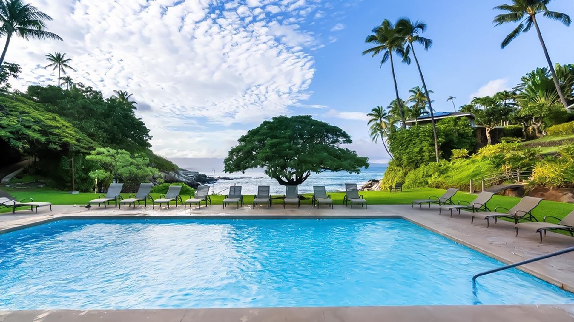 Crystal-clear pool waters invite your morning swim, while tropical palms frame stunning ocean views beyond the lush grounds.