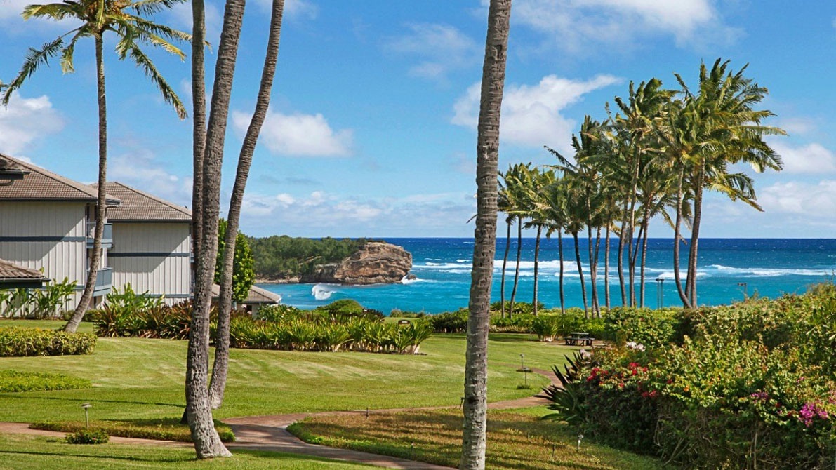 Tropical paradise with swaying palms and ocean views creates the perfect Hawaiian getaway backdrop.