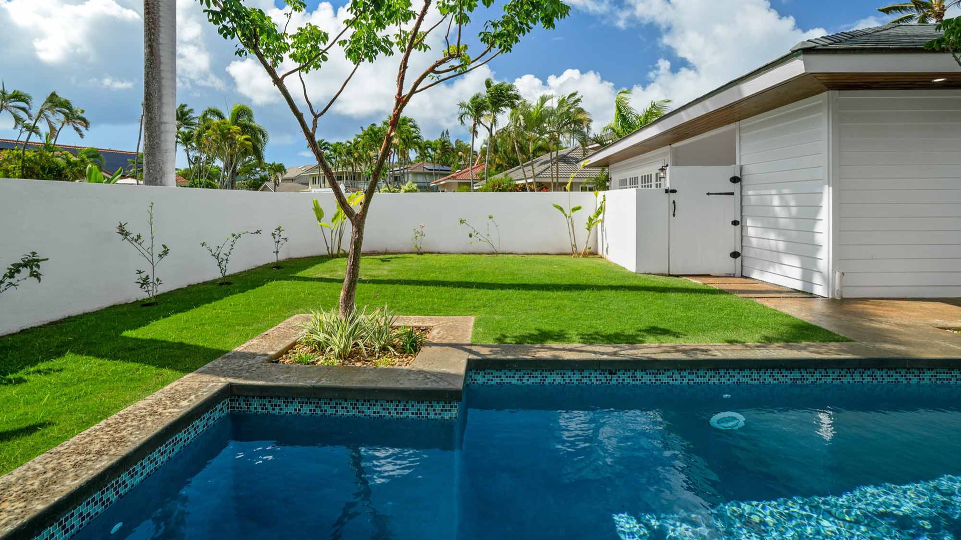 A bright, secluded backyard features your own private pool beside lush green grass and swaying palms. Perfect for soaking up the tropical sunshine in complete privacy.