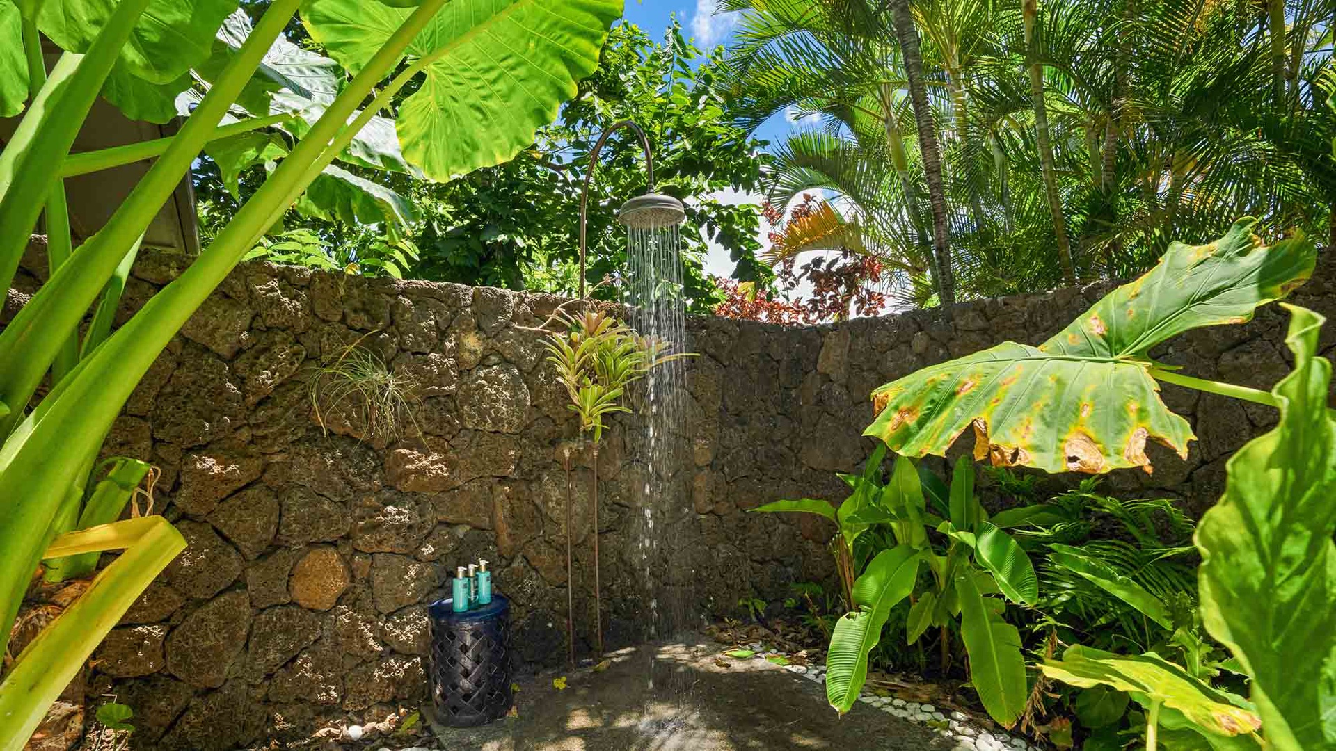 Imagine rinsing off under warm sunshine, surrounded by lush tropical foliage and swaying palms. This open-air stone shower makes every moment feel like a private escape into paradise.