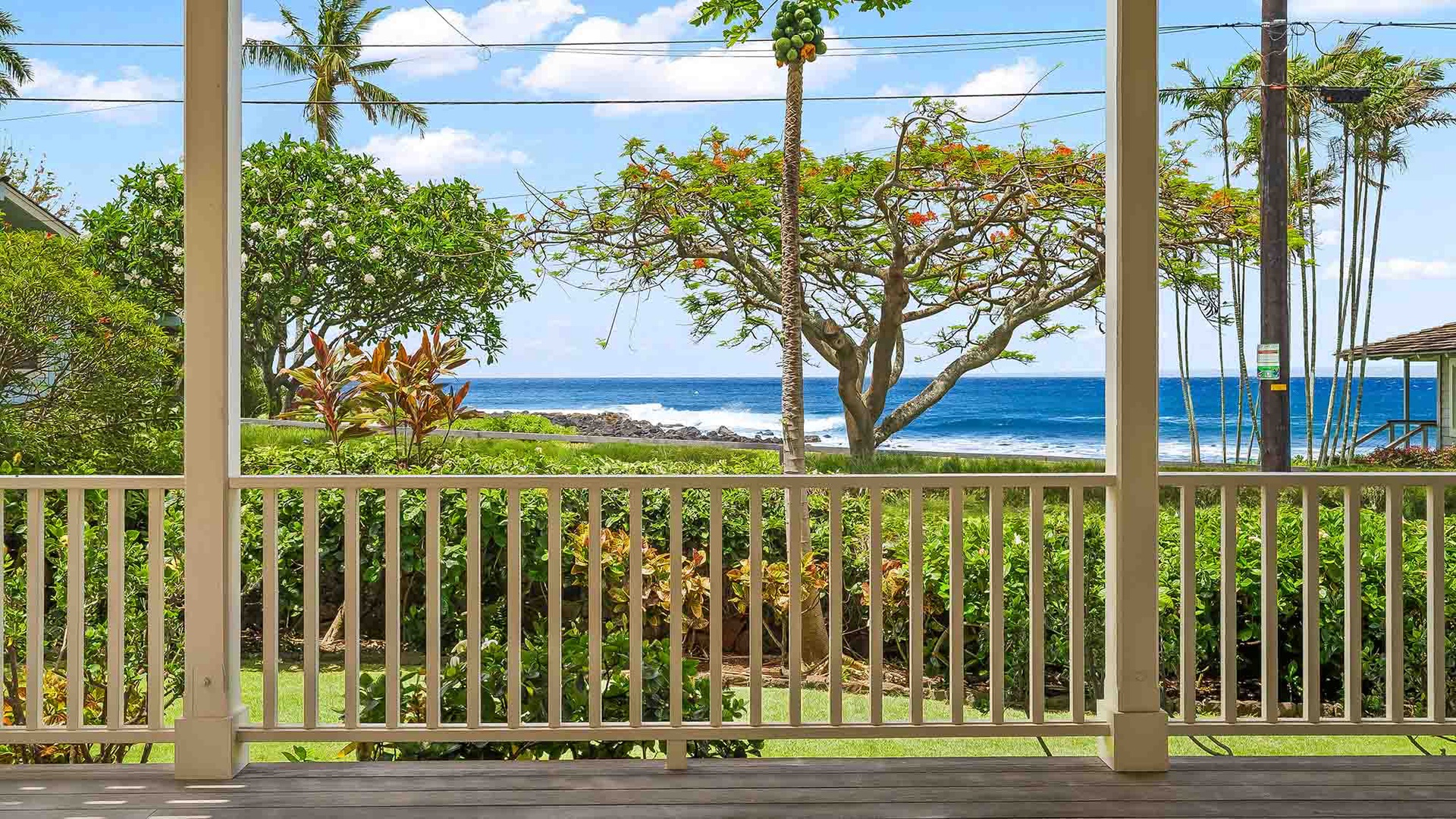 An ocean view framed by tropical greenery and swaying palms, marking the serene coastal setting of the property.