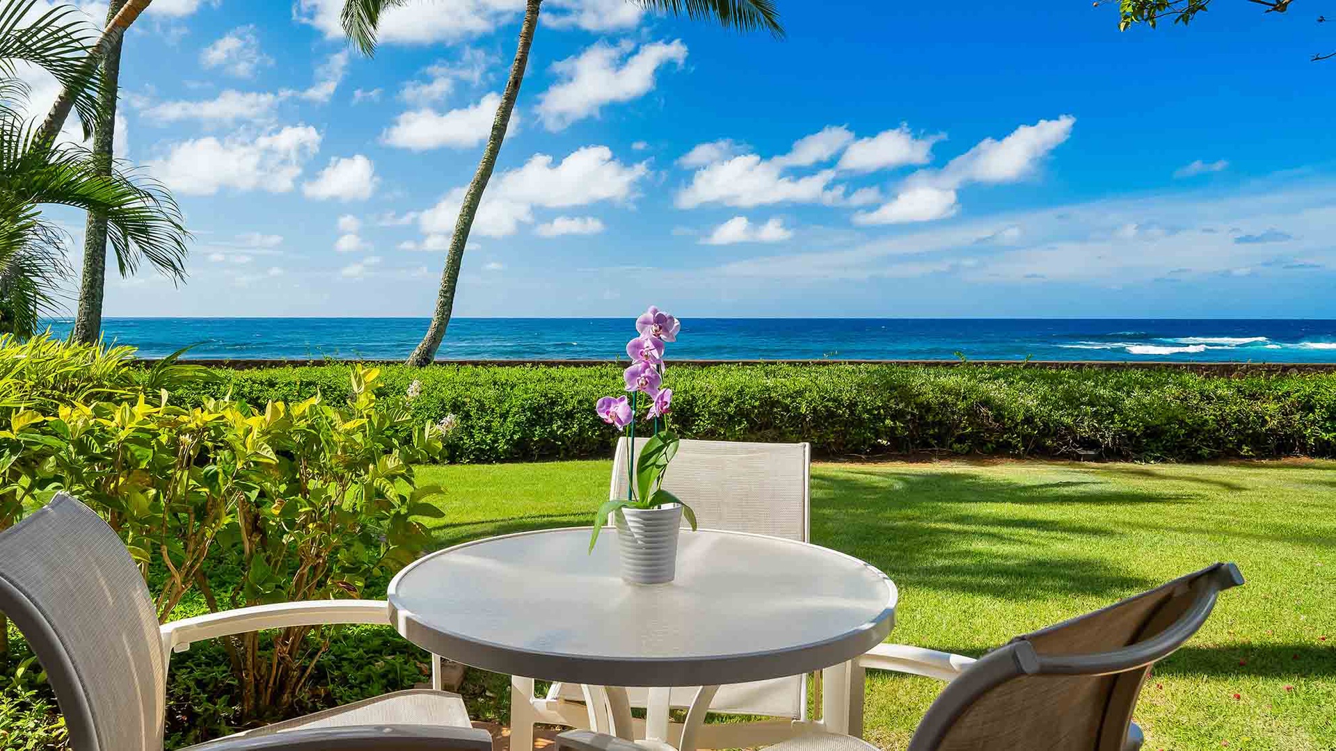 Step outside to your private oceanfront lawn, where the turquoise Pacific stretches endlessly before you. Listen to the waves, feel the tropical breeze through swaying palms, and savor your morning coffee at this serene outdoor table.