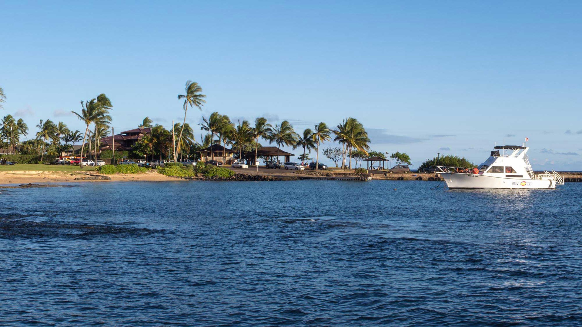 Tropical waterfront setting with swaying palms, sandy beaches, and vacation homes dotting the peaceful coastline.