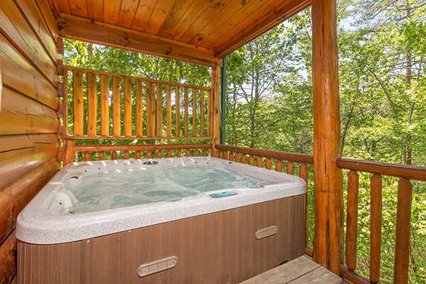 bearfoot paradise hot tub