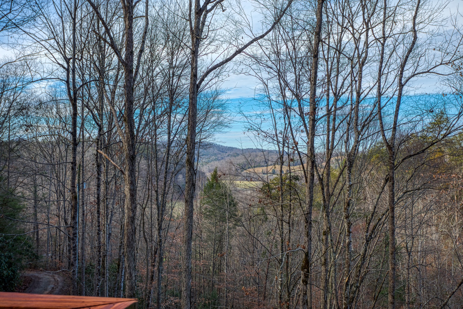 Winter views through the trees at Moonshiner's Ridge, a 1-bedroom cabin rental located in Pigeon Forge