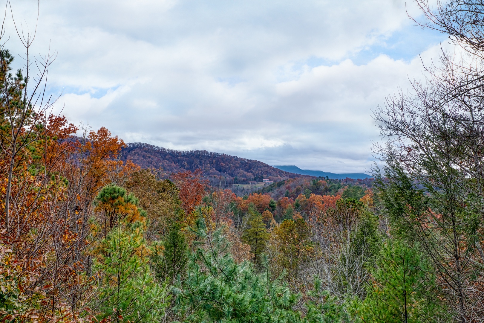 Fall colors on the Smoky Mountains at Enchanted Evening, a 1-bedroom cabin rental located in Pigeon Forge