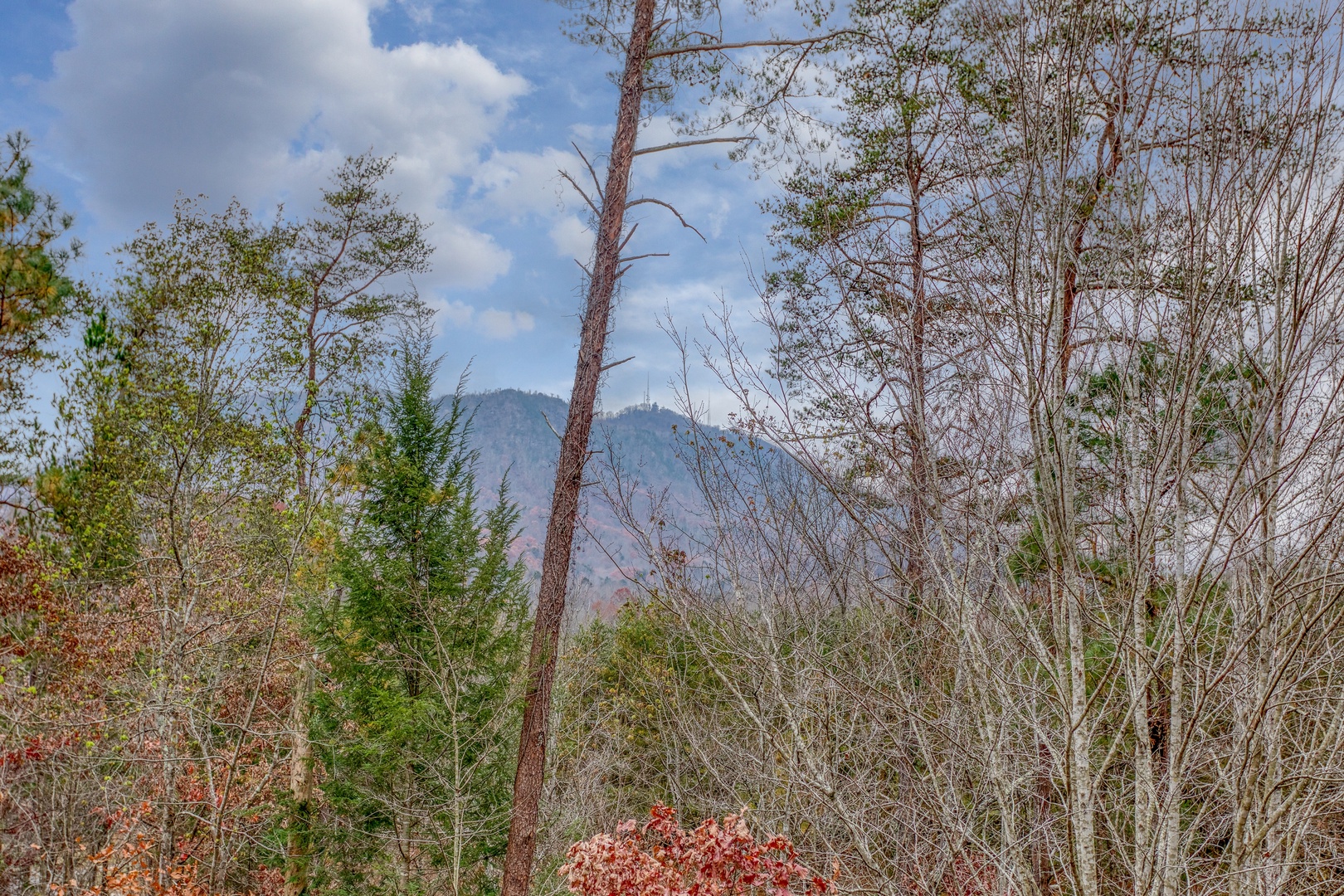 Bluff Mountain view at Bearly in the Mountains, a 5-bedroom cabin rental located in Pigeon Forge
