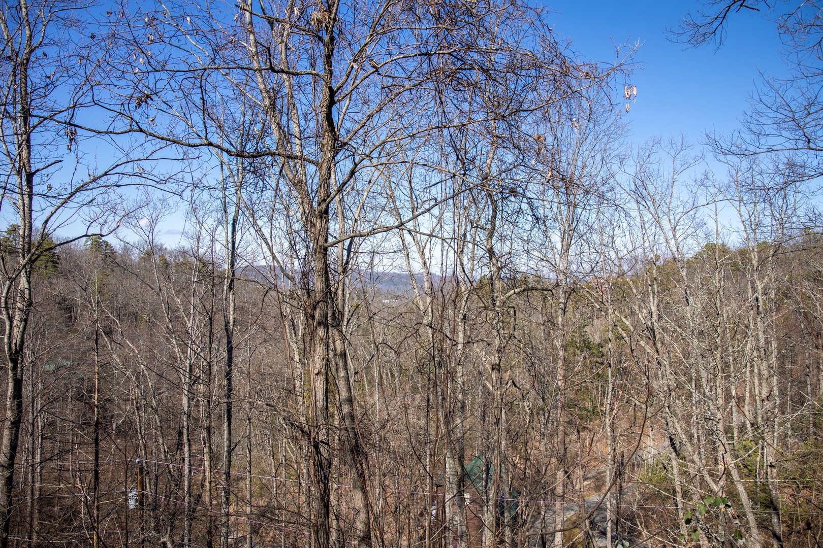 Winter mountain view through the trees at Honey Bear Haven, a 1 bedroom cabin rental located in Pigeon Forge