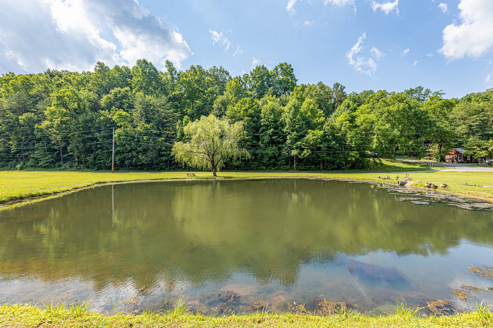 Sky Harbor Pond at A Bear on the Ridge, a 2 bedroom cabin rental located in Pigeon Forge