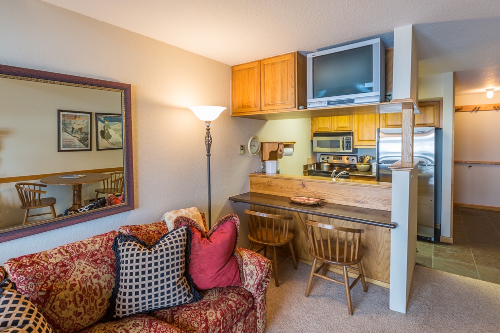 431 Emmons Condominium - Slopeside with shared hot tub!