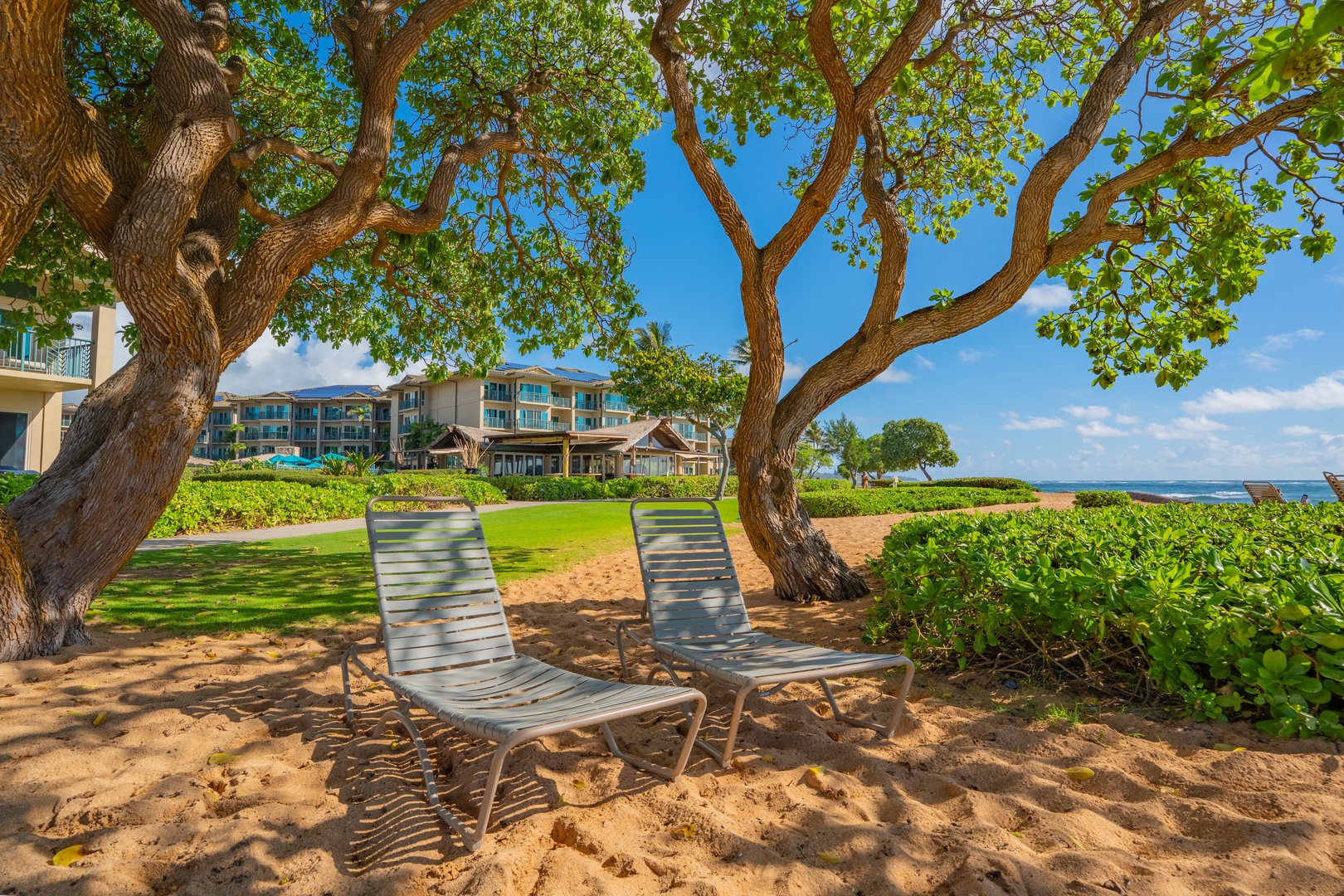 Beachfront property with loungers beneath shaded trees, facing sandy shores and open water views in a tropical coastal setting.