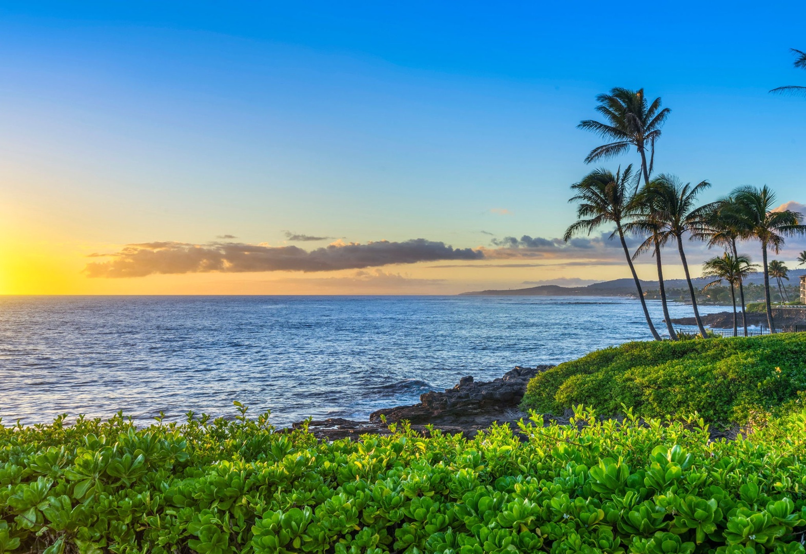 Stunning oceanfront sunset viewed from the property's lush grounds, framed by swaying palm trees and vibrant coastal landscaping along the rocky shoreline.