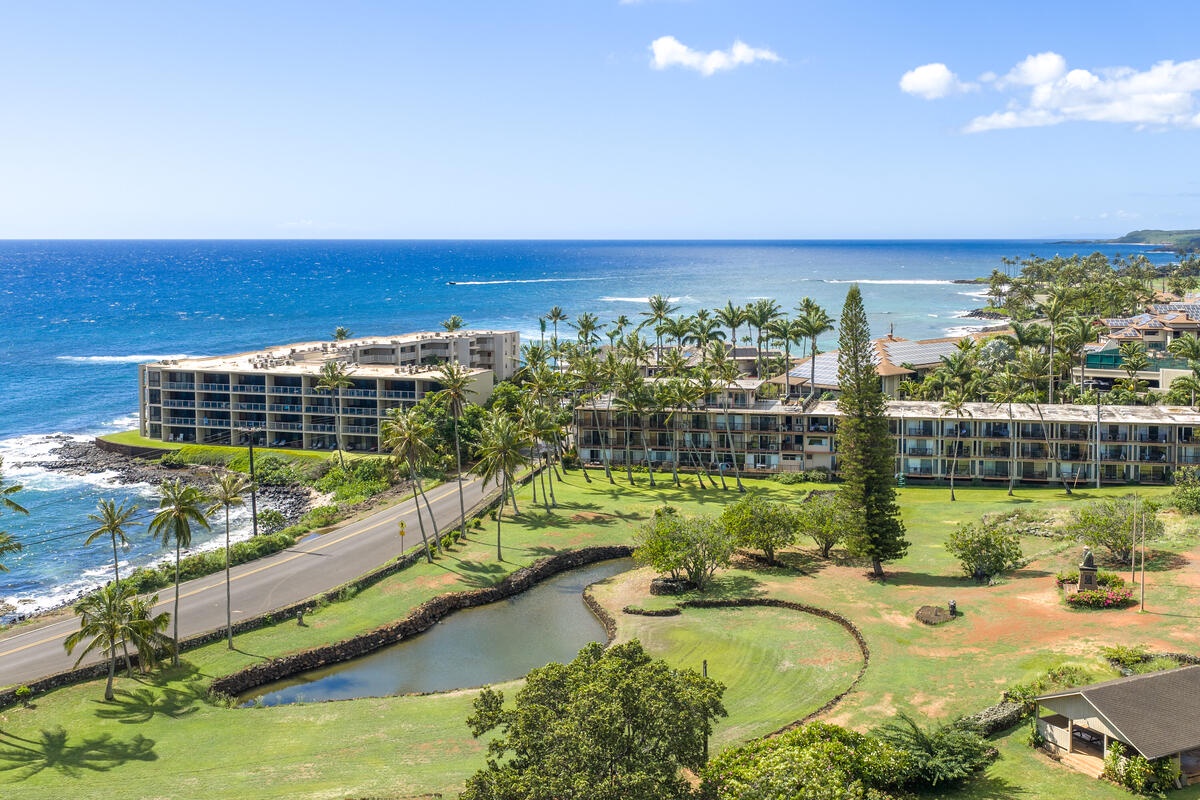 Oceanfront resort complex with landscaped grounds and tropical palm trees along the scenic coastline.