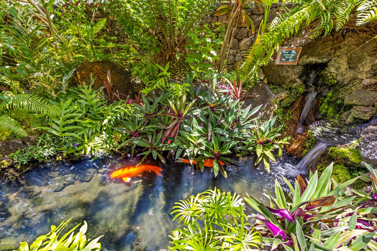 A tranquil koi pond with cascading water features nestled among lush tropical plants creates your perfect garden sanctuary.