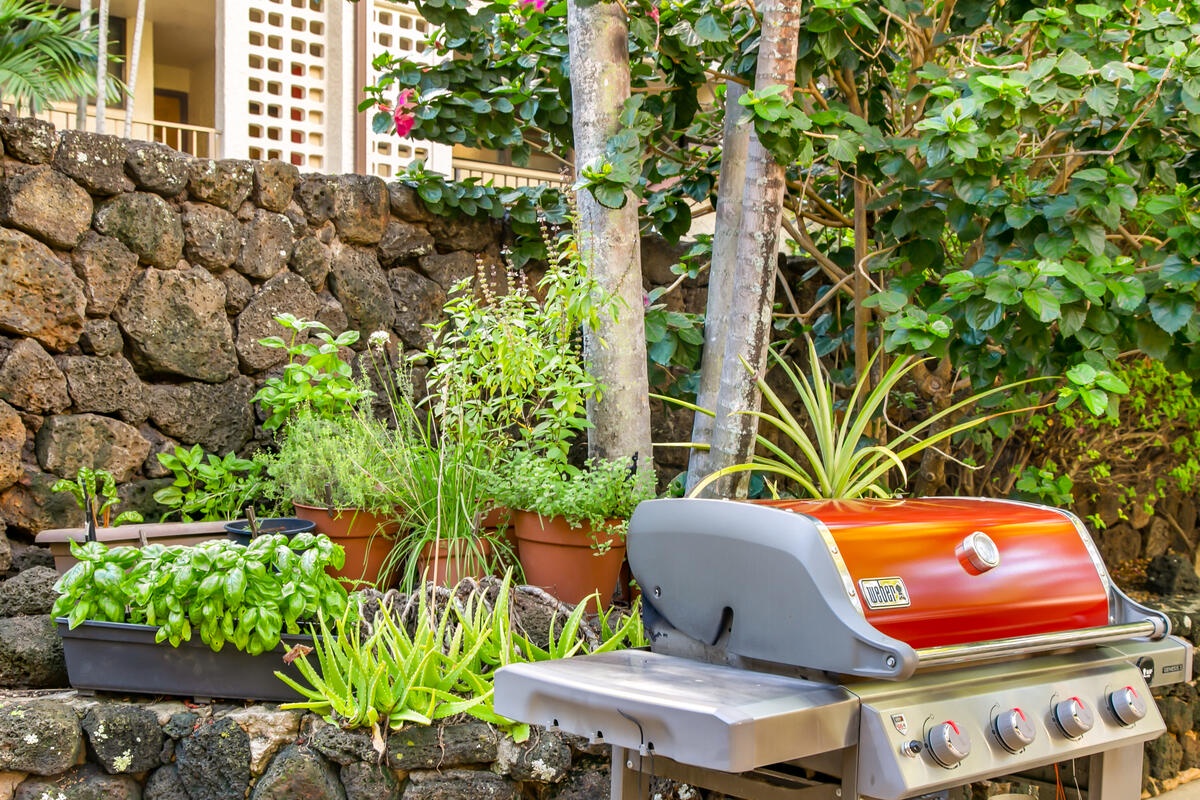 Fire up your vacation with outdoor grilling surrounded by fresh herbs and lush garden plants in this charming stone-walled retreat.